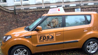 Fake Driving School fullos orosz tanítónéni megujjazva