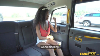 Fake Taxi - Tina Fire a nagy tőgyes barna spiné